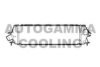 AUTOGAMMA 105144 Intercooler, charger